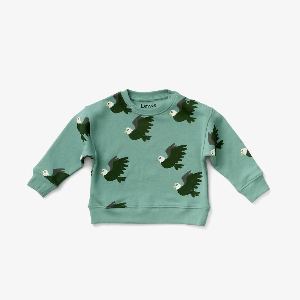 NEW LEWIS baby's eagle pull-on sweatshirt in forest